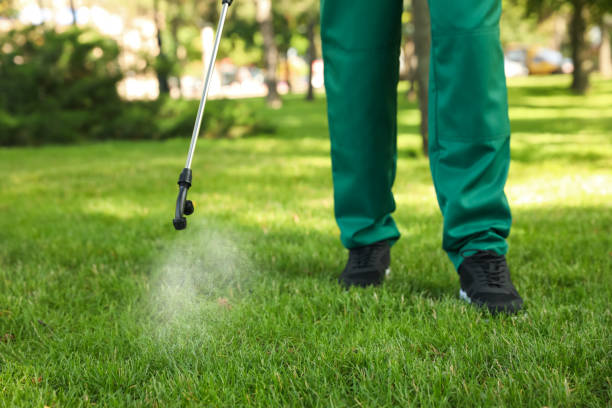 Best Flea Control Services  in Withamsville, OH