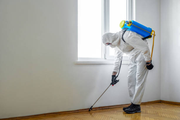 Wasp Removal Services in Withamsville, OH