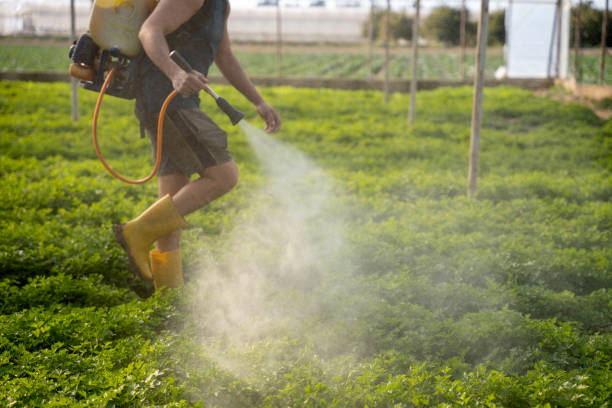 Best Pest Control Near Me in Withamsville, OH