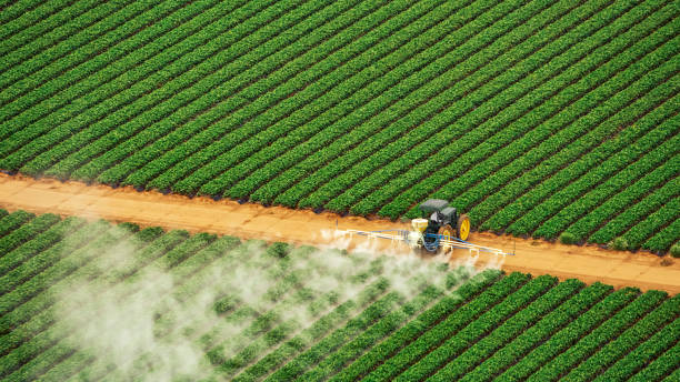Best Commercial Pest Control Services  in Withamsville, OH