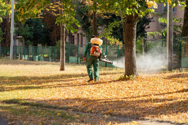 Professional Pest Control in Withamsville, OH