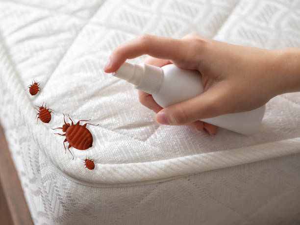 Best Emergency Pest Control  in Withamsville, OH