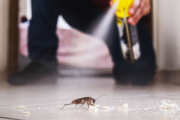 Best Pest Prevention Services  in Withamsville, OH