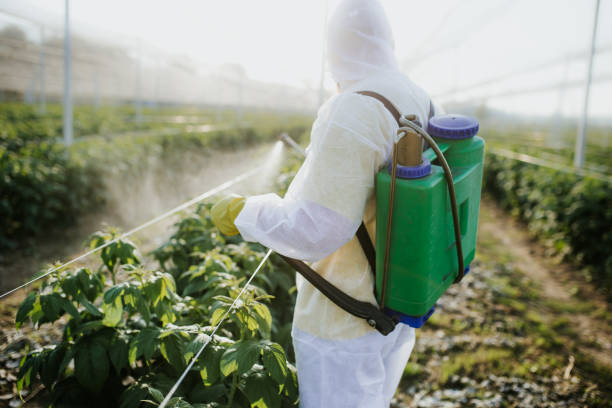 Best Best Pest Control Companies  in Withamsville, OH